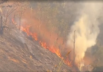 Friburgo: Incêndio atinge área de vegetação na Granja Spinelli