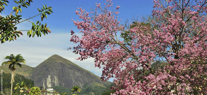 Friburgo volta a realizar Festa da Cerejeira este mês