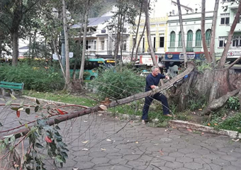 Vento derruba galhos de árvore na praça Getúlio Vargas e RJ-116
