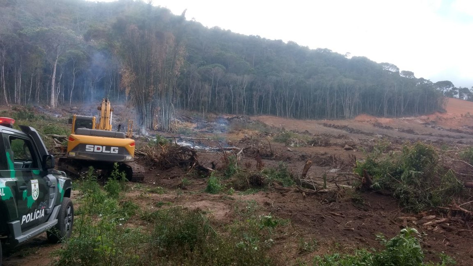 Friburgo: Três são detidos por desmatamento de mata nativa