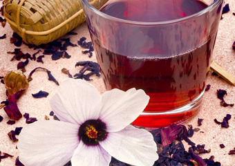 Dieta do chá de hibisco elimina até 4 quilos em 15 dias