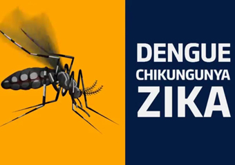 Prefeitura de Friburgo contrata 44 agentes para combater mosquito