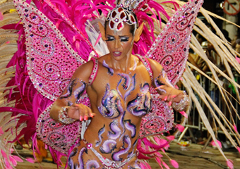 Friburgo: Carnaval terá verba mais curta da Prefeitura em 2017