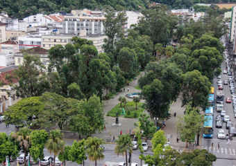 Friburgo: Prefeitura contrata universidade para fazer estudo nas árvores da Praça Getúlio Vargas