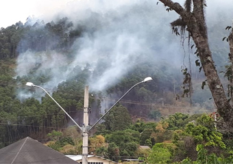 40 incêndios florestais atingem Friburgo em apenas cinco dias