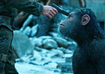 “Planeta dos Macacos: A Guerra” em cartaz no Friburgo Shopping