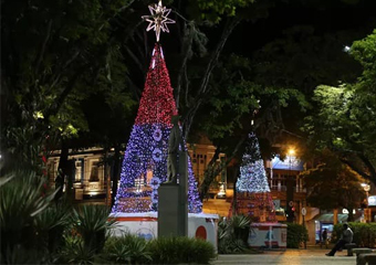 Friburgo: Prefeitura conclui licitação das seis árvores de Natal e valor será de R$ 273,3 mil