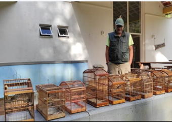 Inea solta aves capturadas pelo tráfico de animais silvestres