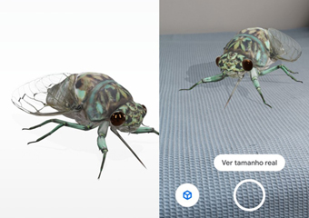 Saiba como ver bichos em 3D a partir de uma busca no Google - Fotos - R7  Tecnologia e Ciência