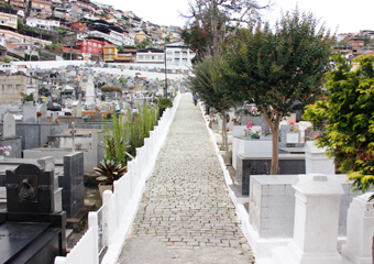 Finados movimenta cemitérios e deverá aquecer venda de flores