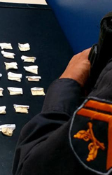 Friburgo: PM apreende cocaína no bairro do Catarcione