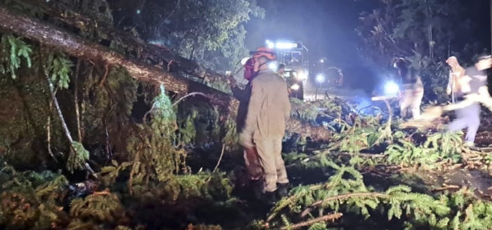 Rio Bengalas Friburgo limpeza : Nova Friburgo em Foco – Portal de Notícias