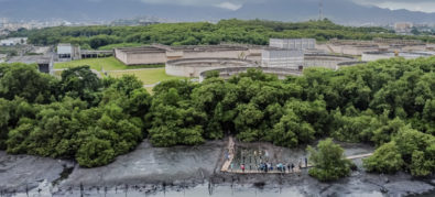 A Kundalini e o despertar da consciência : Nova Friburgo em Foco – Portal  de Notícias